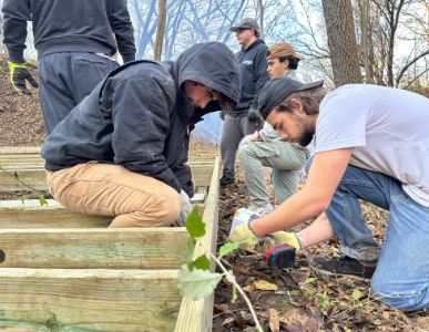 TAE-AbilityCamp-What-3