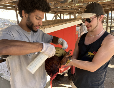 TAE-AbilityCamp-What-4